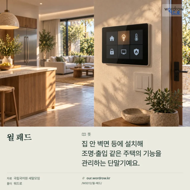 월 패드 영상 미리보기