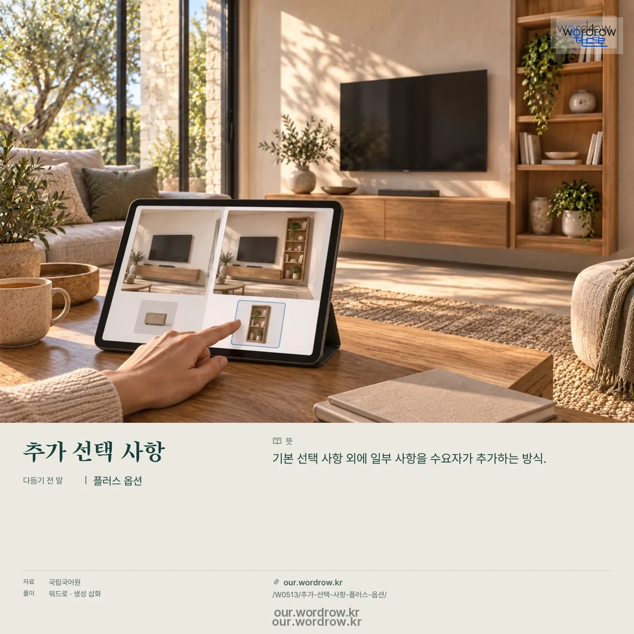 추가 선택 사항 · 플러스 옵션 영상 미리보기