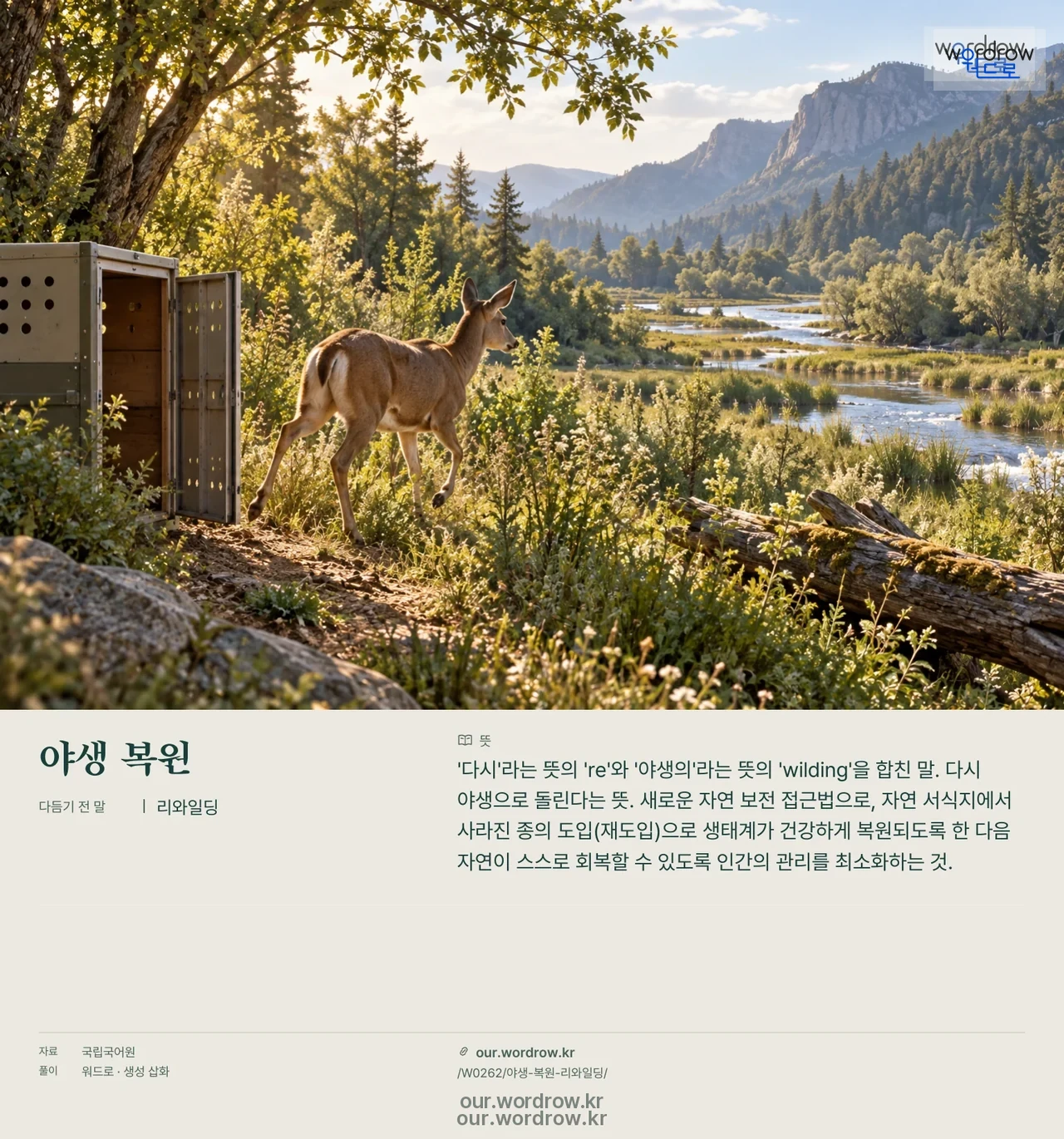 야생 복원 · 리와일딩 영상 미리보기