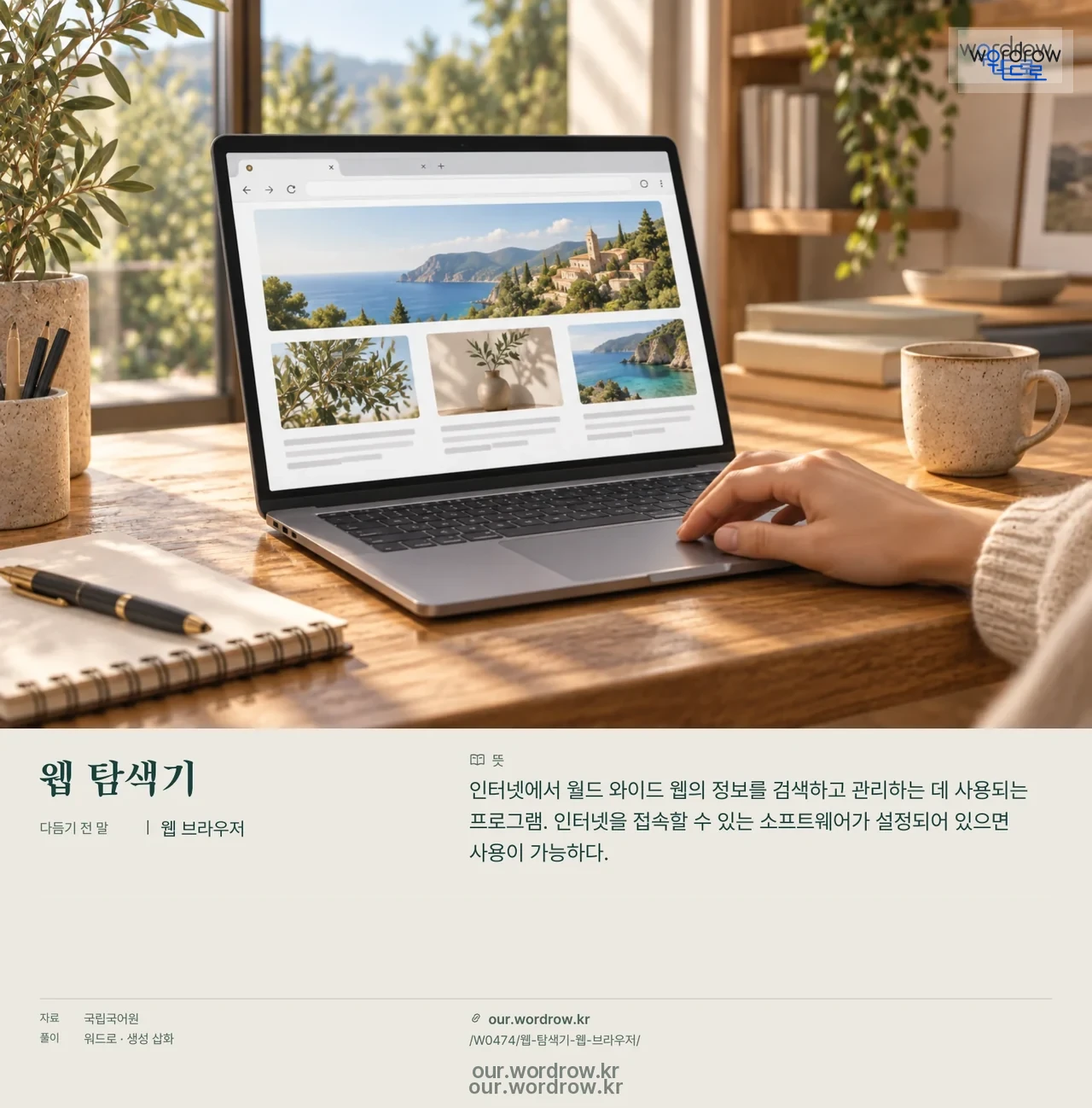 웹 탐색기 · 웹 브라우저 영상 미리보기