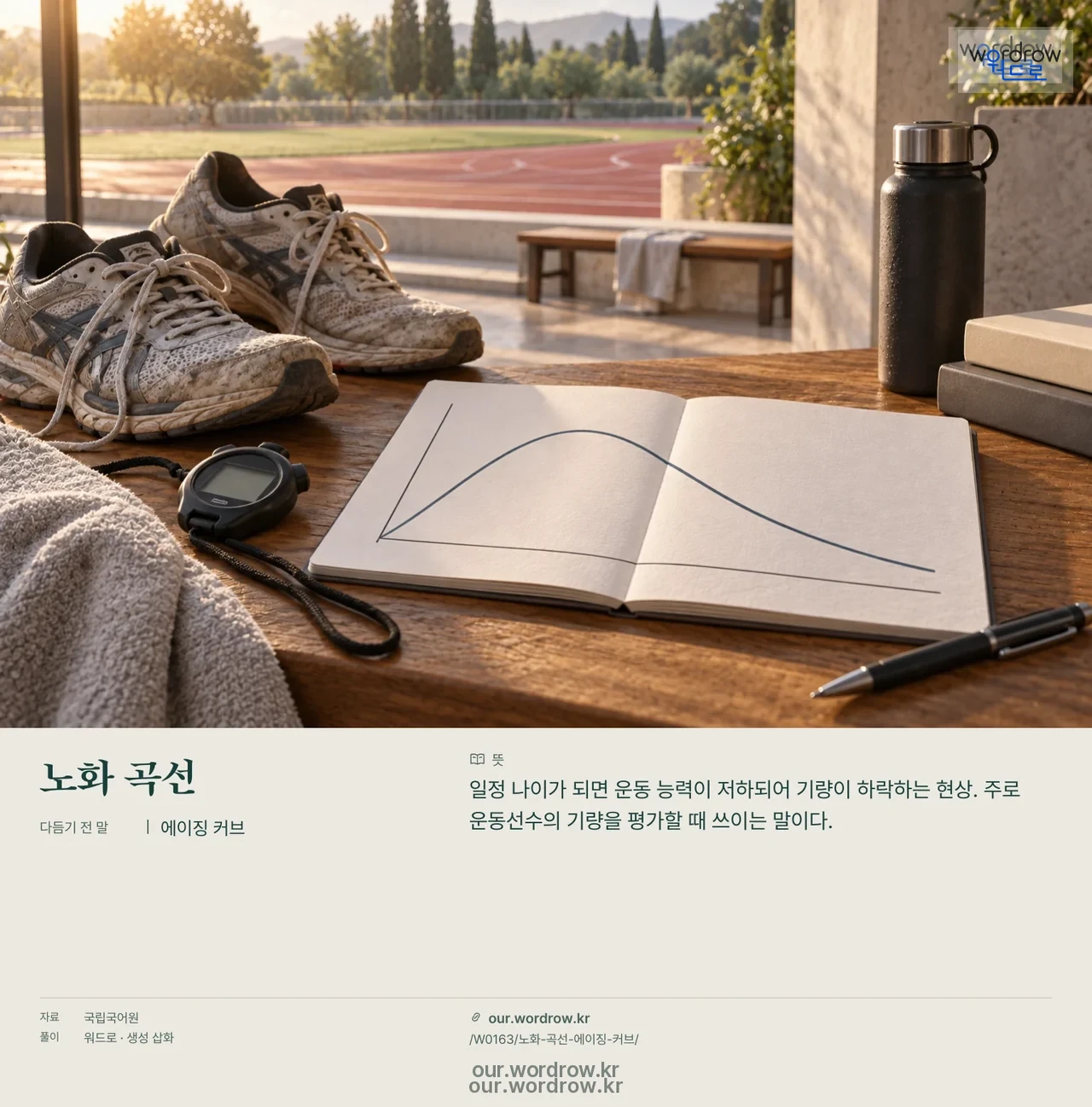 노화 곡선 · 에이징 커브 영상 미리보기