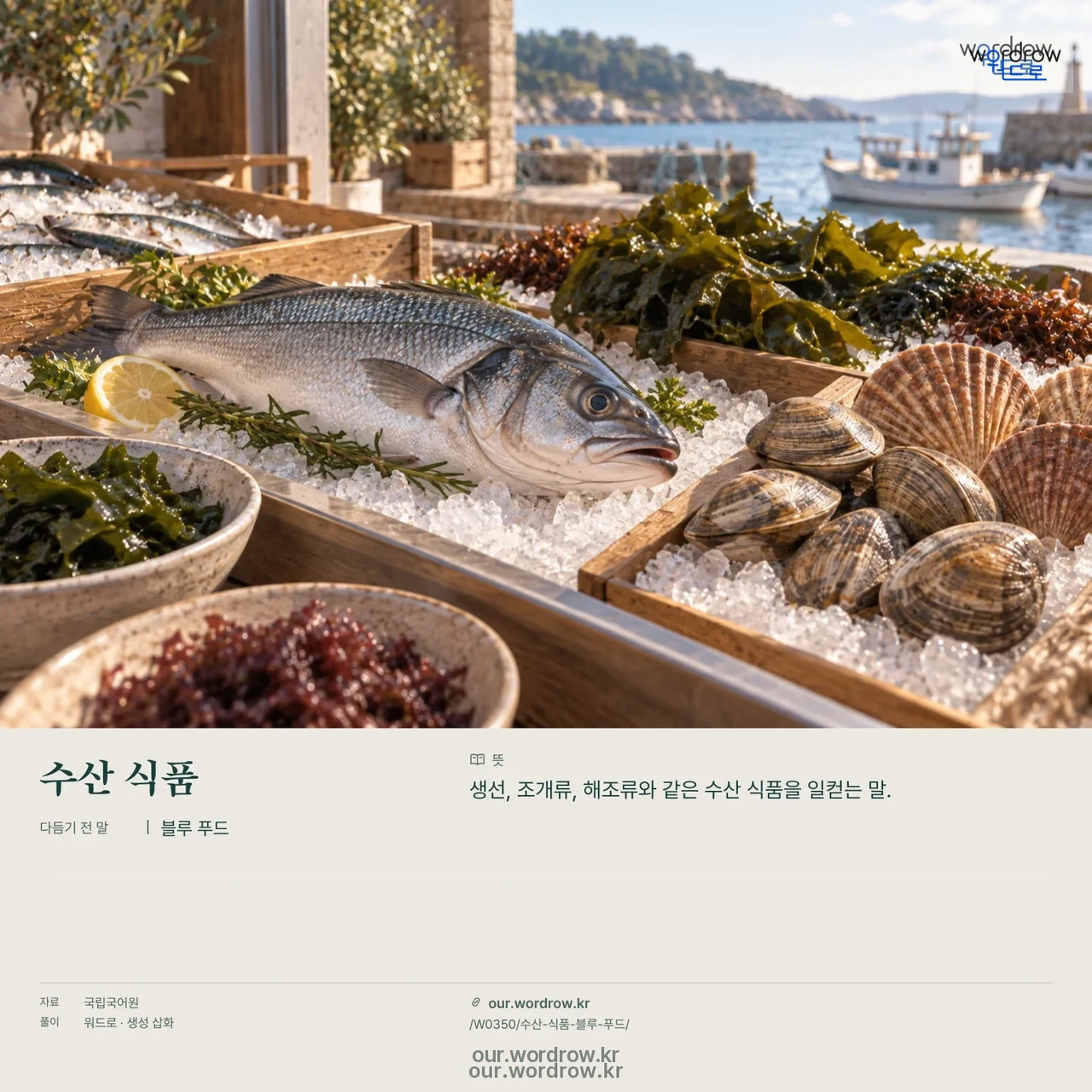 수산 식품 · 블루 푸드 영상 미리보기