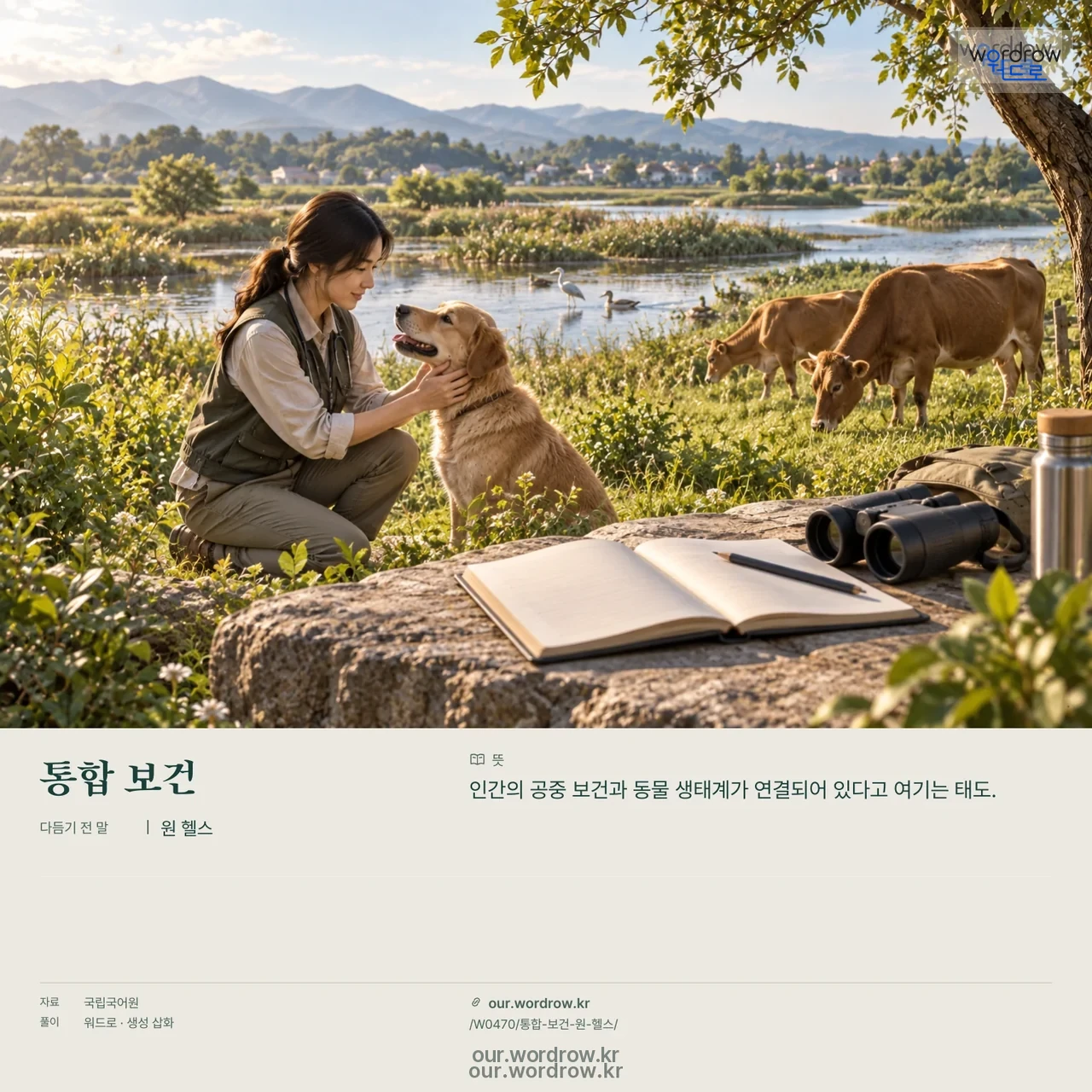 통합 보건 · 원 헬스 영상 미리보기