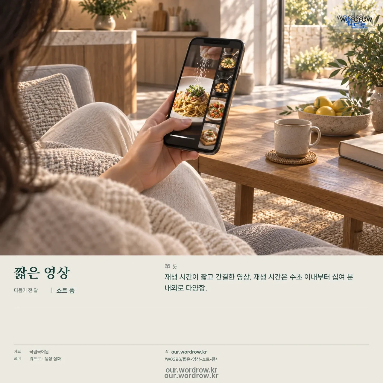 짧은 영상 · 쇼트 폼 영상 미리보기