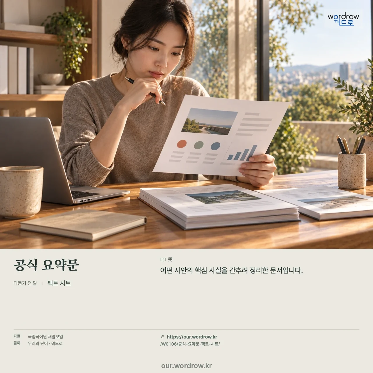 공식 요약문 · 팩트 시트 영상 미리보기