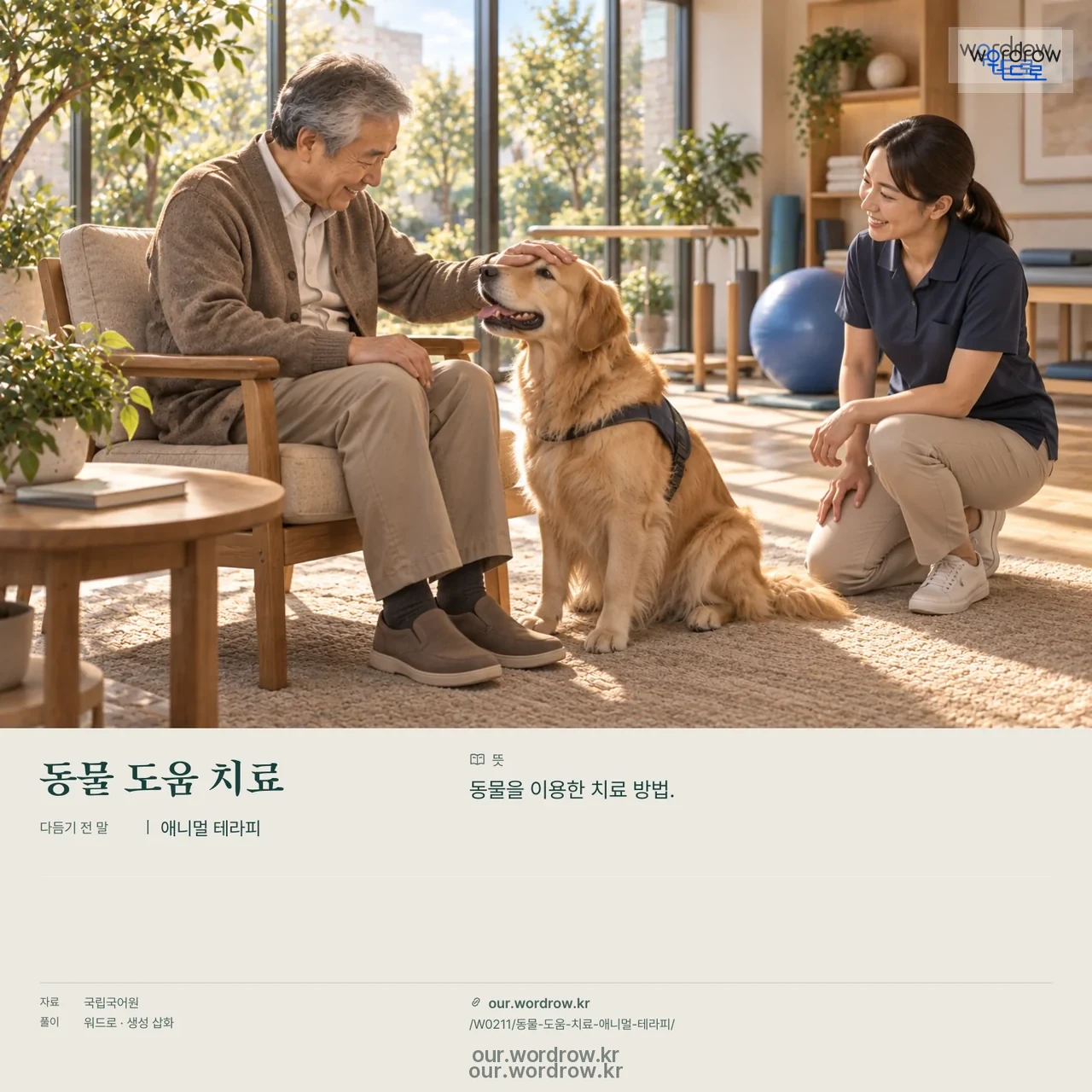 동물 도움 치료 · 애니멀 테라피 영상 미리보기