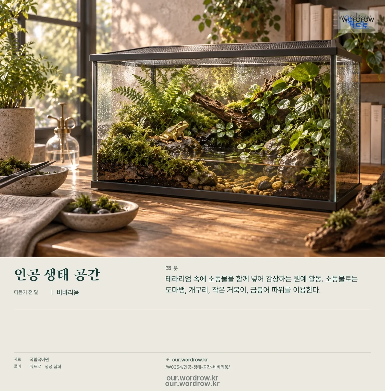 인공 생태 공간 · 비바리움 영상 미리보기