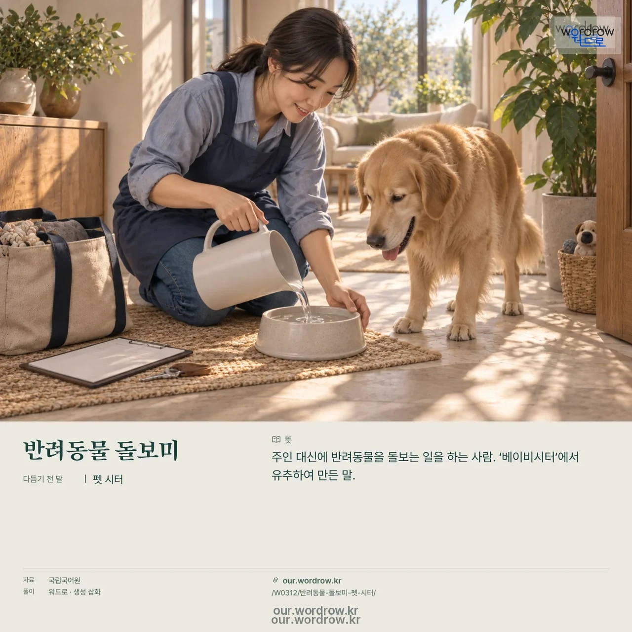 반려동물 돌보미 · 펫 시터 영상 미리보기