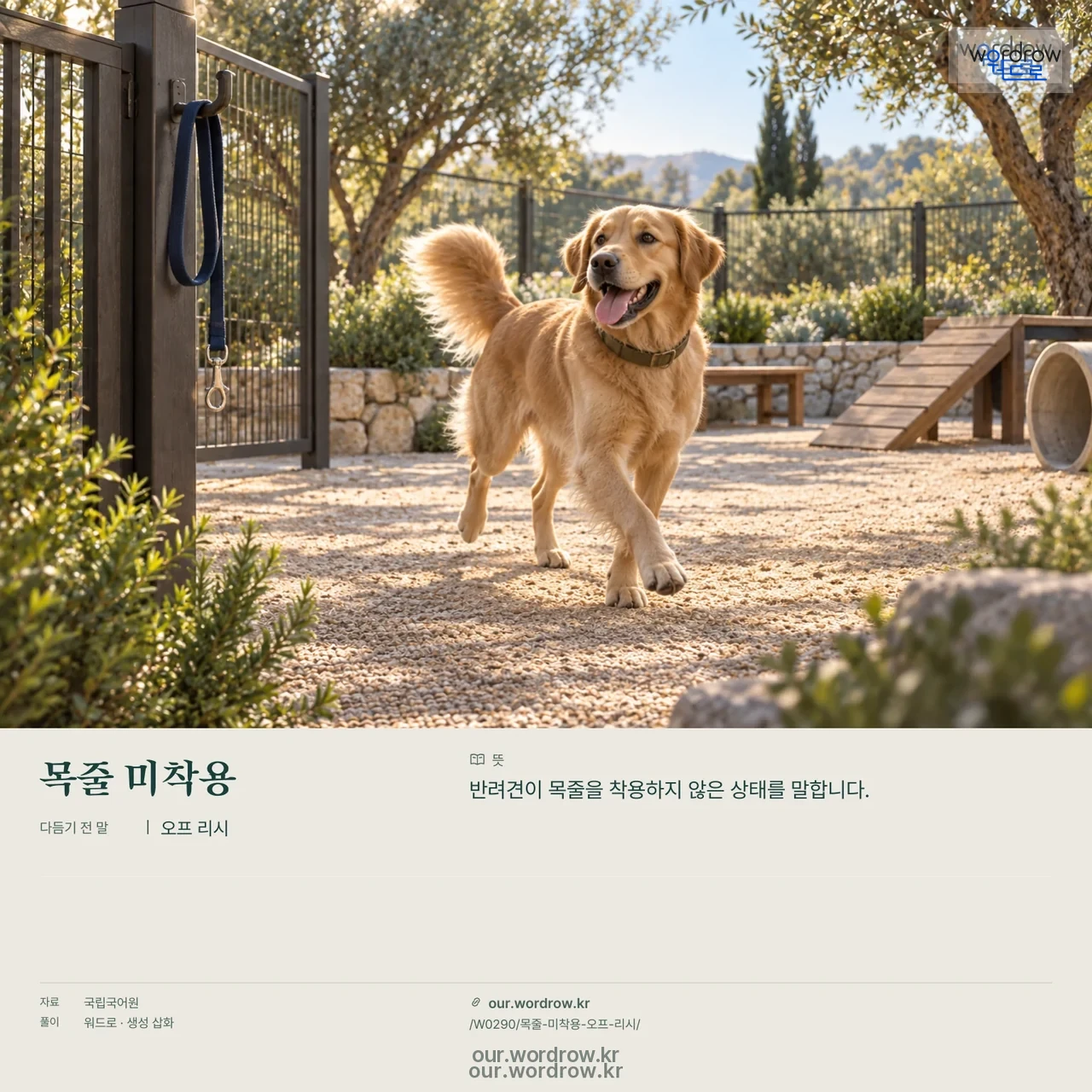 목줄 미착용 · 오프 리시 영상 미리보기