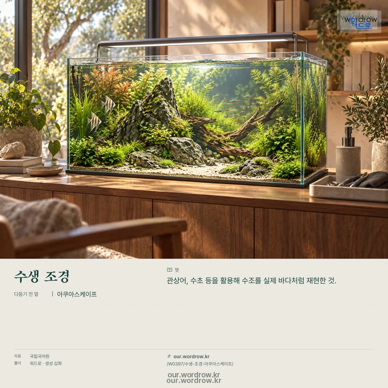 수생 조경 · 아쿠아스케이프 영상 미리보기
