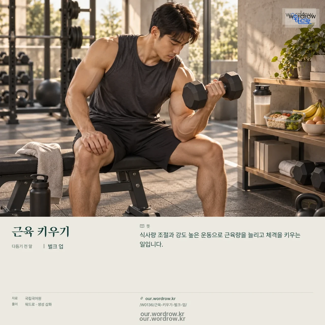 근육 키우기 · 벌크 업 영상 미리보기