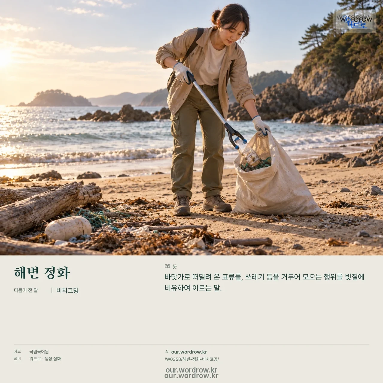 해변 정화 · 비치코밍 영상 미리보기
