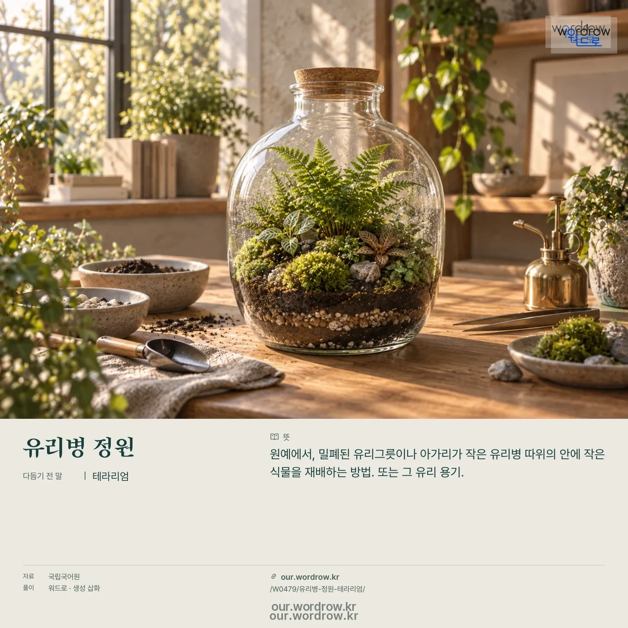 유리병 정원 · 테라리엄 영상 미리보기