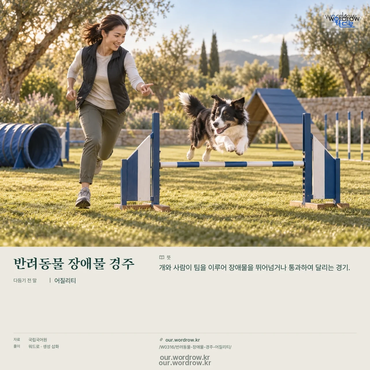 반려동물 장애물 경주 · 어질리티 영상 미리보기