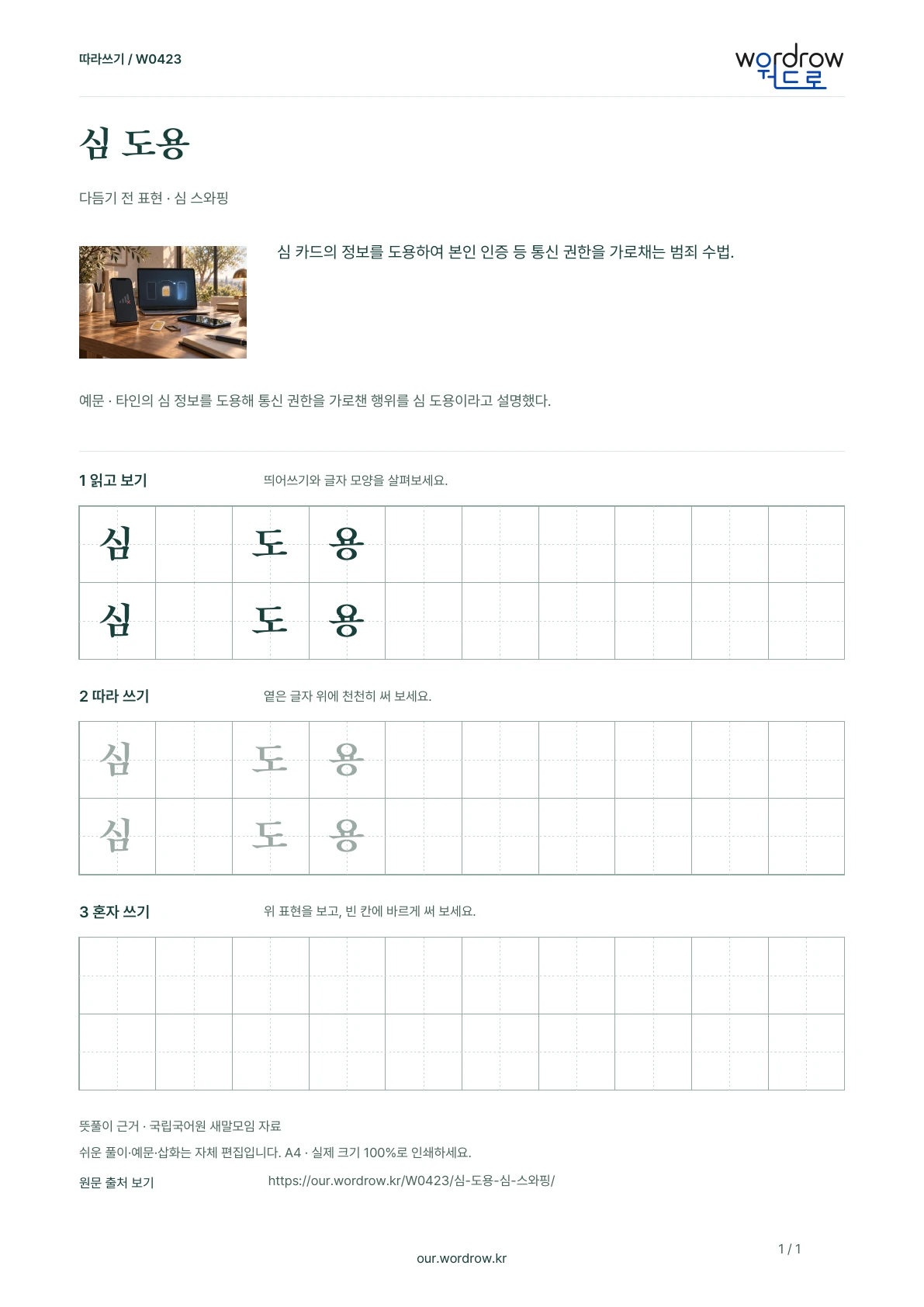 심 도용 · 심 스와핑 학습지 1쪽 미리보기